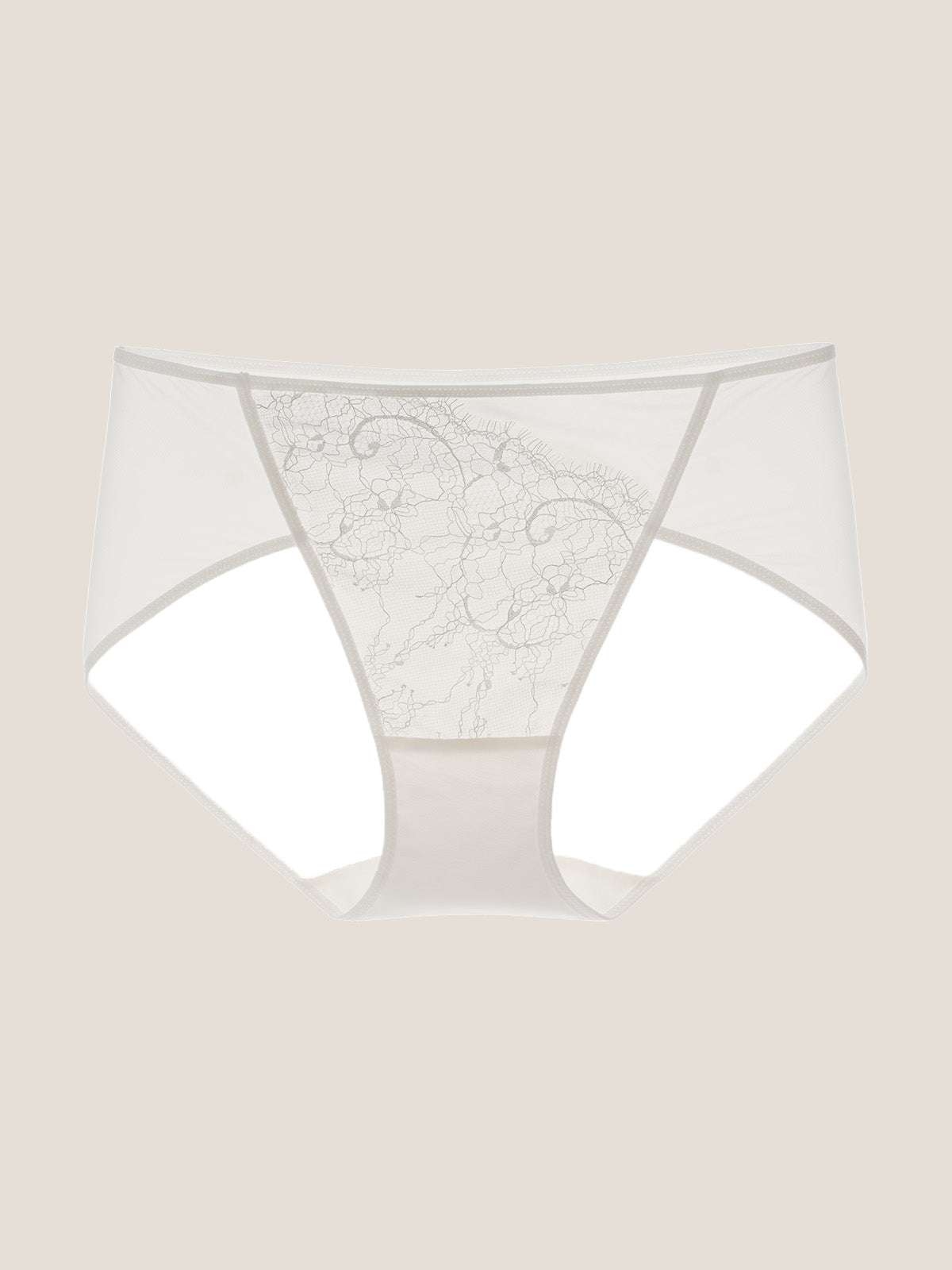 Chantilly Lace Brief