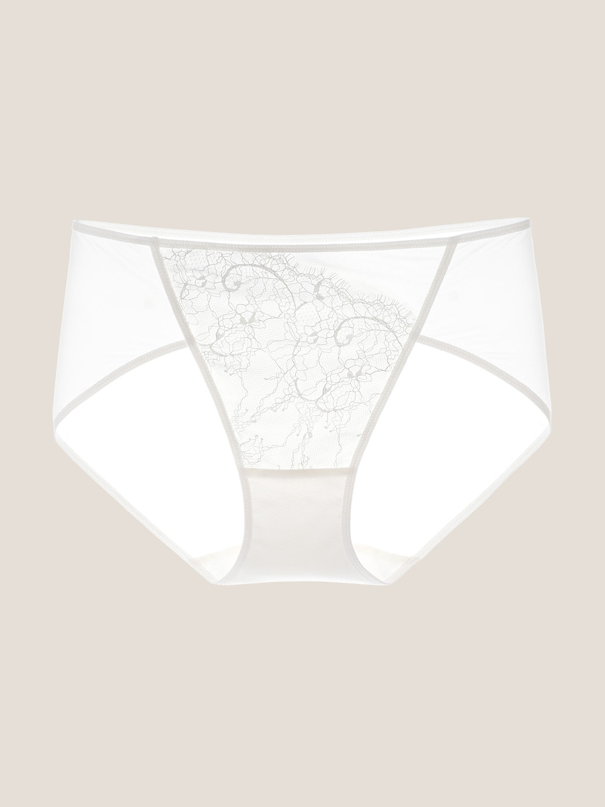 Chantilly Lace Brief