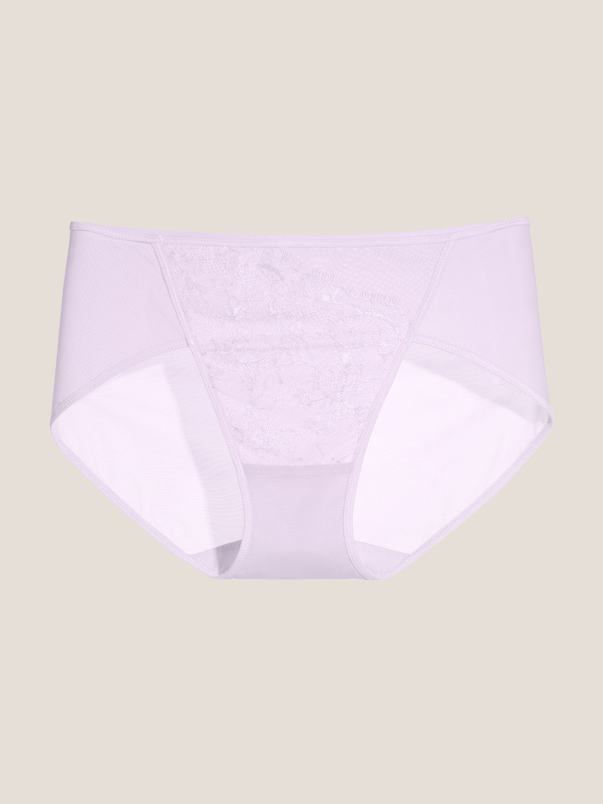 Chantilly Lace Brief